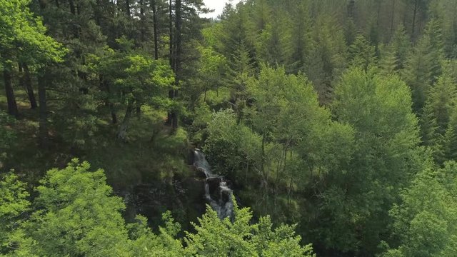Tilting from a view of mountains covered in trees to a hidden stream waterfall.