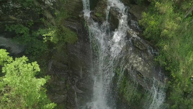 Flying from a waterfall through  the branches of a bright green tree in the Gorbea Natural Park