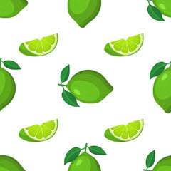 Fototapeta na wymiar Seamless pattern with fresh bright exotic whole and cut slice lime fruit on white background. Summer fruits for healthy lifestyle. Organic fruit. Cartoon style. Vector illustration for any design.