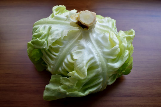 Primer plano de una lechuga fresca reci&eacute;n cortada, aislada sobre una mesa de madera.
