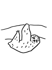 ミツユビナマケモノ