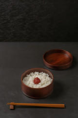 おべんとう　Japanese style famous lunch box (bento)