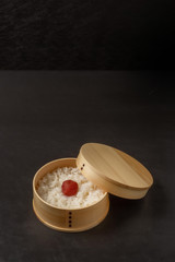 おべんとう　Japanese style famous lunch box (bento)