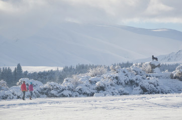 Beautiful snow scene of Lake tekapo, New Zealand. The Sheepdog Statue on the edge of Lake Tekapo with the silhouette of couple walking toward it.