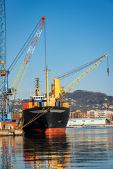 Obraz premium Container ship and cranes for unloading and loading in the seaport, Gulf of La Spezia, Liguria, Italy, Europe