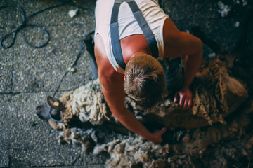 The Sheepshearer Tales