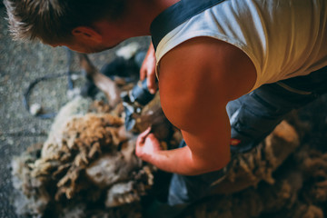 The Sheepshearer Tales