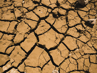 Dry cracked earth