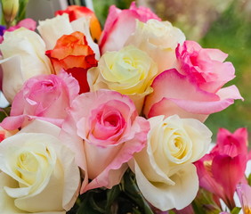 Bouquet of red, white and pink Roses close up