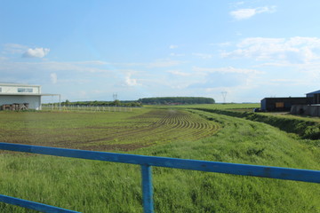 big field