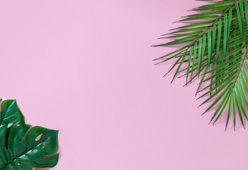 Minimalist concept with tropical palm leaves monstera on the pink background. Flat lay, copy space.