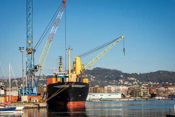 Fototapeta na wymiar Container ship and cranes for unloading and loading in the seaport, Gulf of La Spezia, Liguria, Italy, Europe