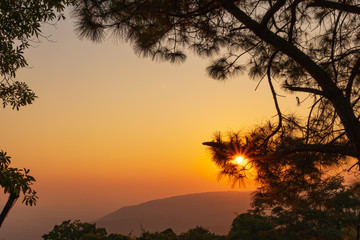Fototapeta na wymiar Beautiful sunset through tree leaves with orange sky and tree and mountain silhouettes.