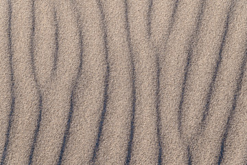 Fototapeta na wymiar wavy sand on the beach on a sunny day, texture