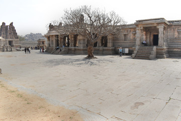 Fototapeta premium Vijaya Vitthala Temple with tree and its shadow in the middle, Hampi,Karnataka clicked by Deep S. Nahar