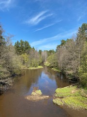 river in the forest