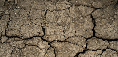 Dry soil land texture on the ground. drought, cracked earth in gray. earth without rain. background
