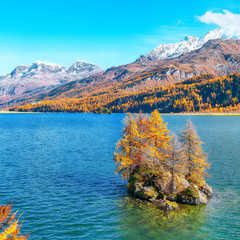 Picturesque autumn views of Sils Lake (Silsersee) with small islands