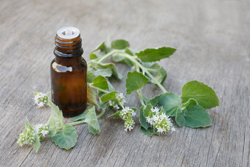 Mint, peppermint essential oil (remedy, extract) containers with fresh mint leaves and flowers on wooden background