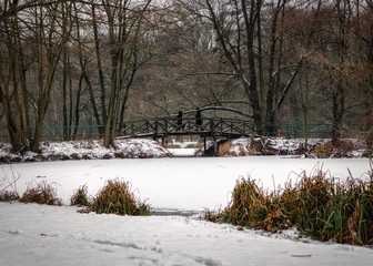 Mostek nad zamarzniętym stawem.