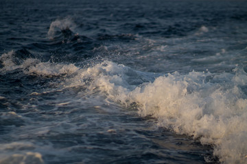 The sea wave, the tide, rolls on the shore.