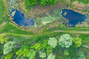 Drone flight over swamp, lakes, forest and path. Two lakes with blue water are similar to the eyes...