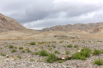 Altai Tavan Bogd National Park in Bayar-Ulgii, Mongolia.