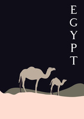 Tourist posters of Egypt. Camels vector graphics.