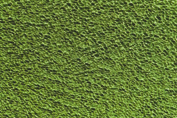  Blu water in swimming pool rippled water detail background