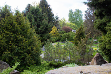 Alpine slide in landscape design. Alpine plants and bushes in the Lodz Botanical Garden.