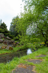 Alpine slide in landscape design. Alpine plants and bushes in the Lodz Botanical Garden.