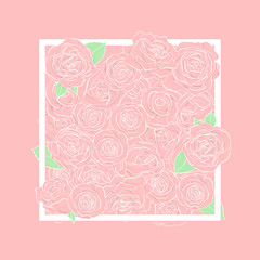 Rose flowers in a square white frame on a pink background.