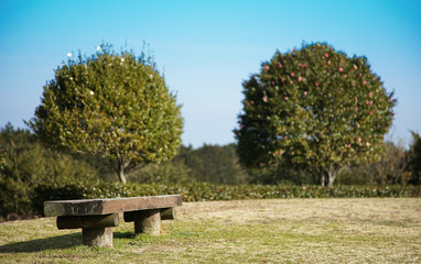 bench in the park