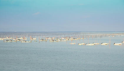 The fishing boat which adopts laver of sushi of the Japanese sea