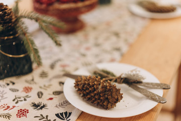 decorations for the New Year holidays, options for decorating the house. Christmas background