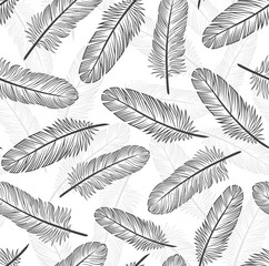 Fototapeta premium Pattern with black feathers on a white background. Suitable for curtains, wallpaper, fabrics, wrapping paper.