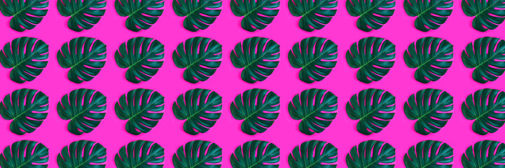 Banner made from monstera leaf isolated on pink background.