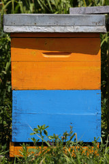 Colorful wooden beehive,close up