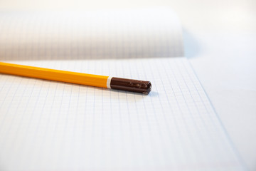 A bitten yellow pencil lies on a squared notebook, difficult task, closeup