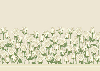 White roses seamless pattern, background. Colored vector illustration