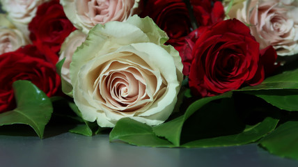 Naklejka premium close-up of a bouquet of roses 
