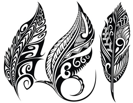 Set of stylized bird feathers. Collection of feathers for decoration.  Tattoo.

