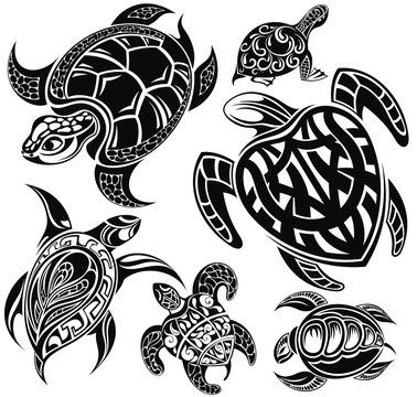 Vector of turtle design on a white background. Reptile. Animals.