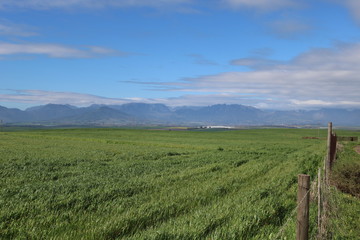 Landscape Western Cape