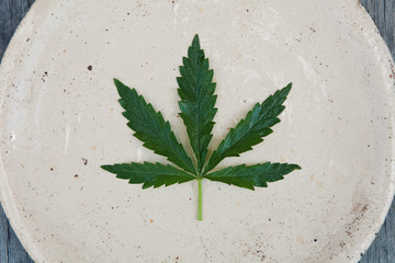 Marijuana leaf on plate on blue wooden background. Medical marijuana. Concept of herbal alternative...