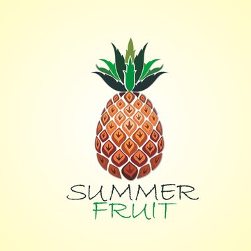 Pineapple. Illustration of pineapple fruit . Summer fruit