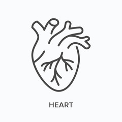 Heart flat line icon. Vector outline illustration of human organ. Cardiovascular, cardiology thin linear medical pictogram