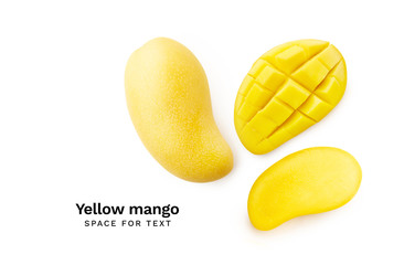 Creative layout mango