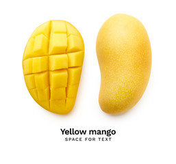 Creative layout mango