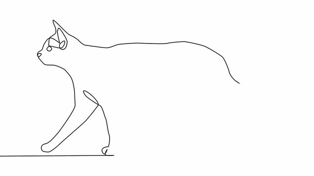 Self drawing simple animation of single continuous one line drawing kitten pet cat animal cute. Drawing by hand.